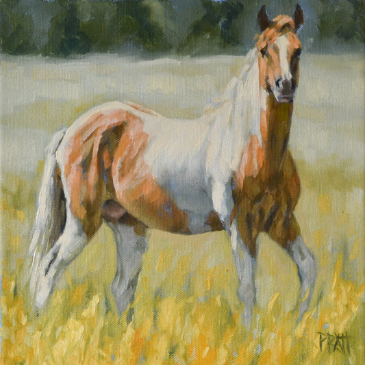 Backcountry South Steens - Original Art - Jennifer Pratt Artist - Shop equestrian art, horse paintings and horse portraits