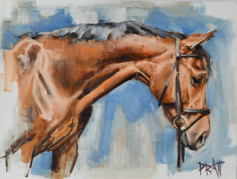 Dutch Mare Sketch - Original Art - Jennifer Pratt Artist - Shop equestrian art, horse paintings and horse portraits