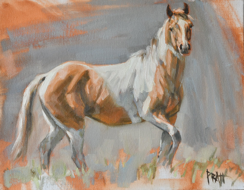 Sagebrush Zain - Original Artwork - Jennifer Pratt Artist - Shop equestrian art, horse paintings and horse portraits