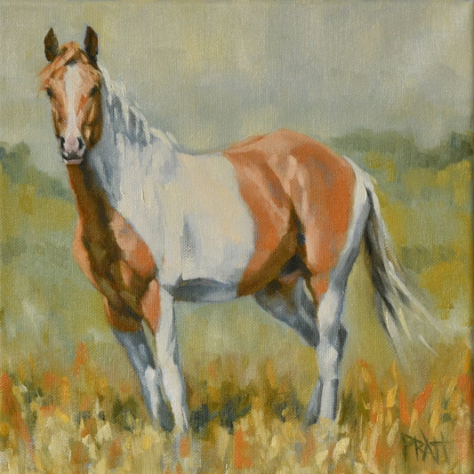 Zain of the South Steens - Original Art - Jennifer Pratt Artist - Shop equestrian art, horse paintings and horse portraits