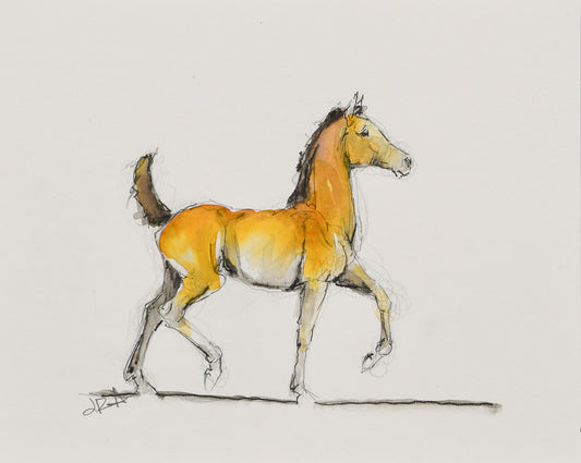 Asher Foal Sketch - Original Art