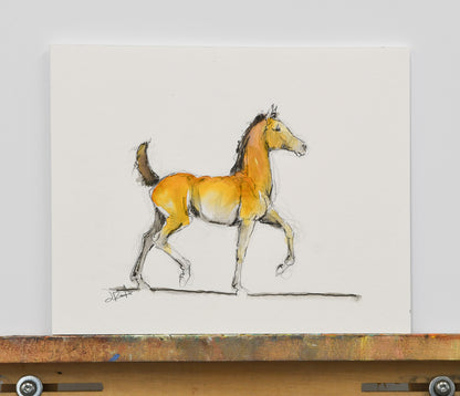 Asher Foal Sketch - Original Art