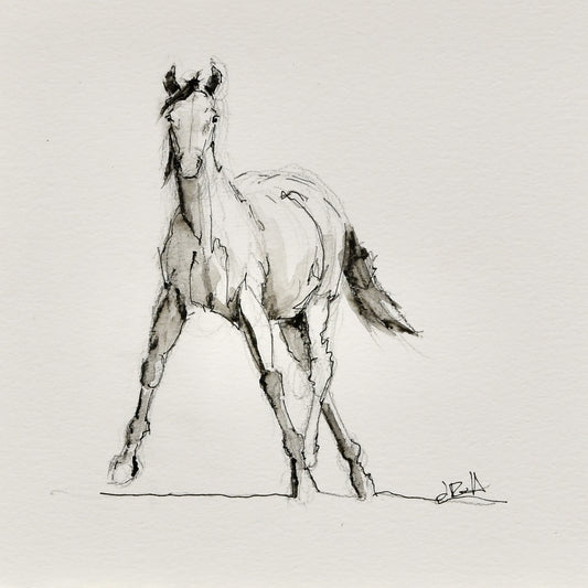 Autumn Yearling Sketch - Original Art