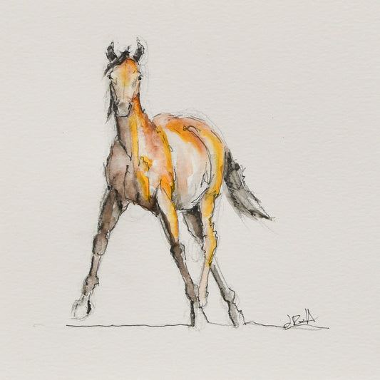 Autumn Yearling Sketch - Original Art