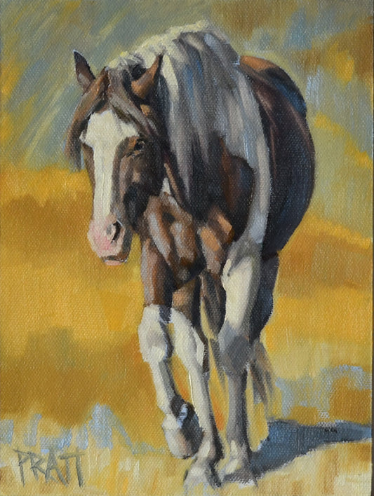 Casino, South Steens - Original Art - Jennifer Pratt Artist - Shop equestrian art, horse paintings and horse portraits