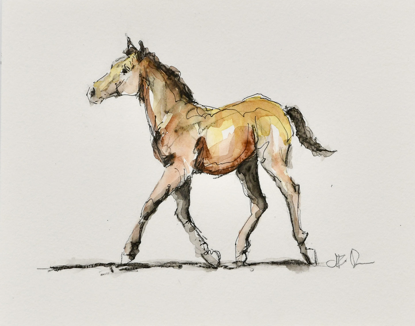 Cooper Foal Sketch - Original Art