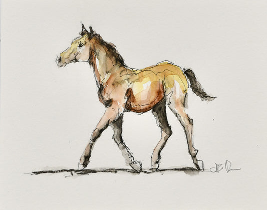 Cooper Foal Sketch - Original Art