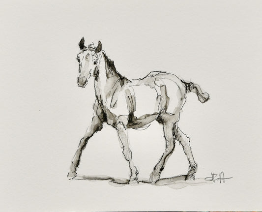 Eloise Foal Sketch - Original Art