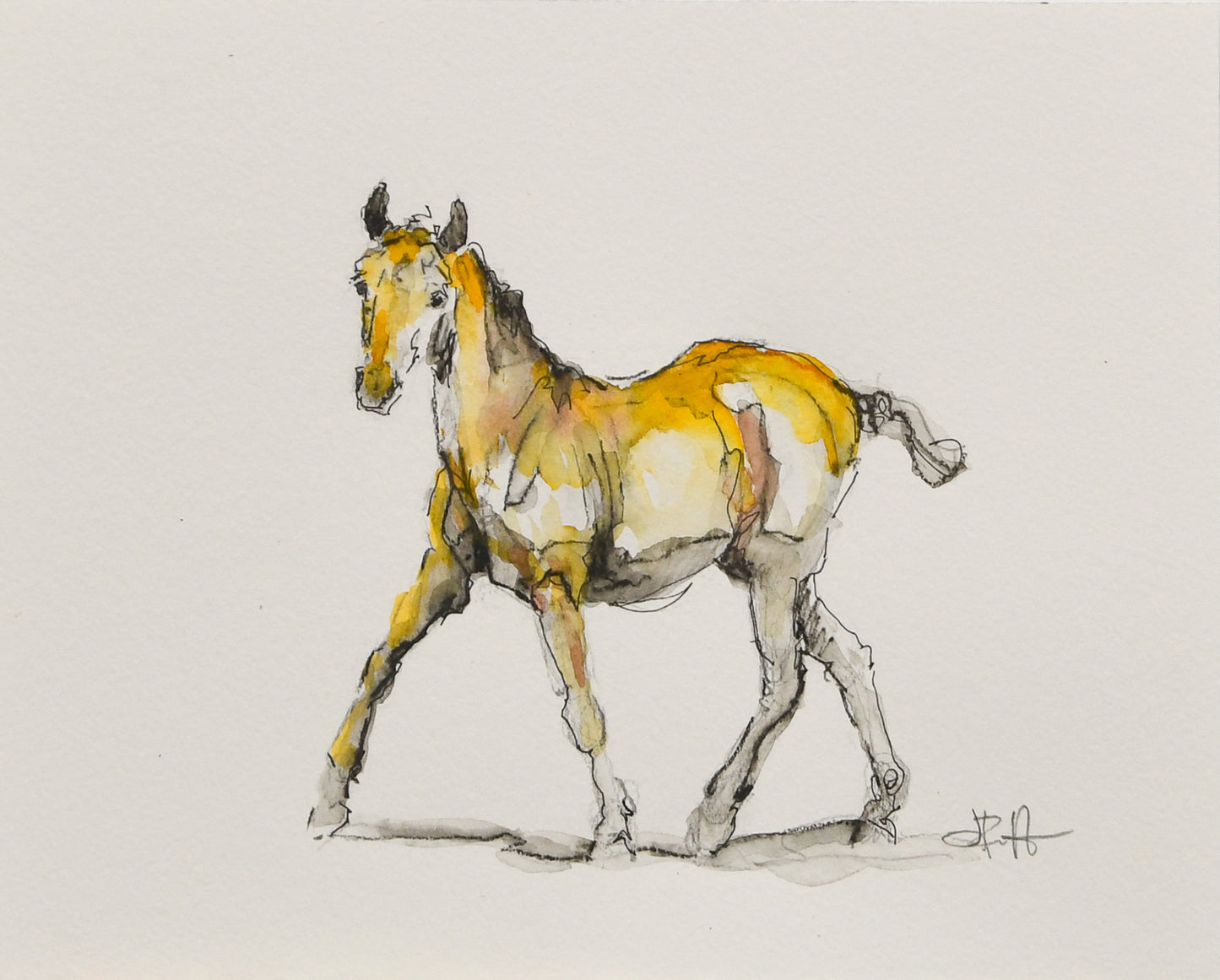 Eloise Foal Sketch - Original Art