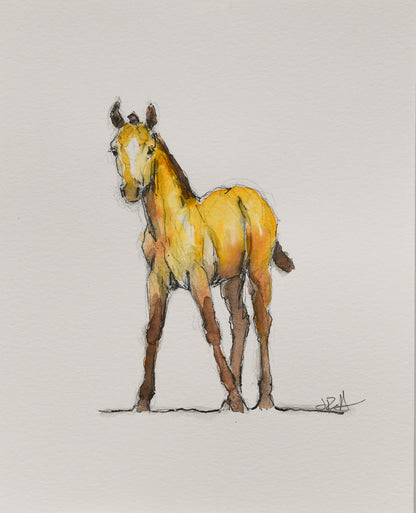 Millie Foal Sketch - Original Art