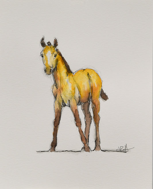 Millie Foal Sketch - Original Art