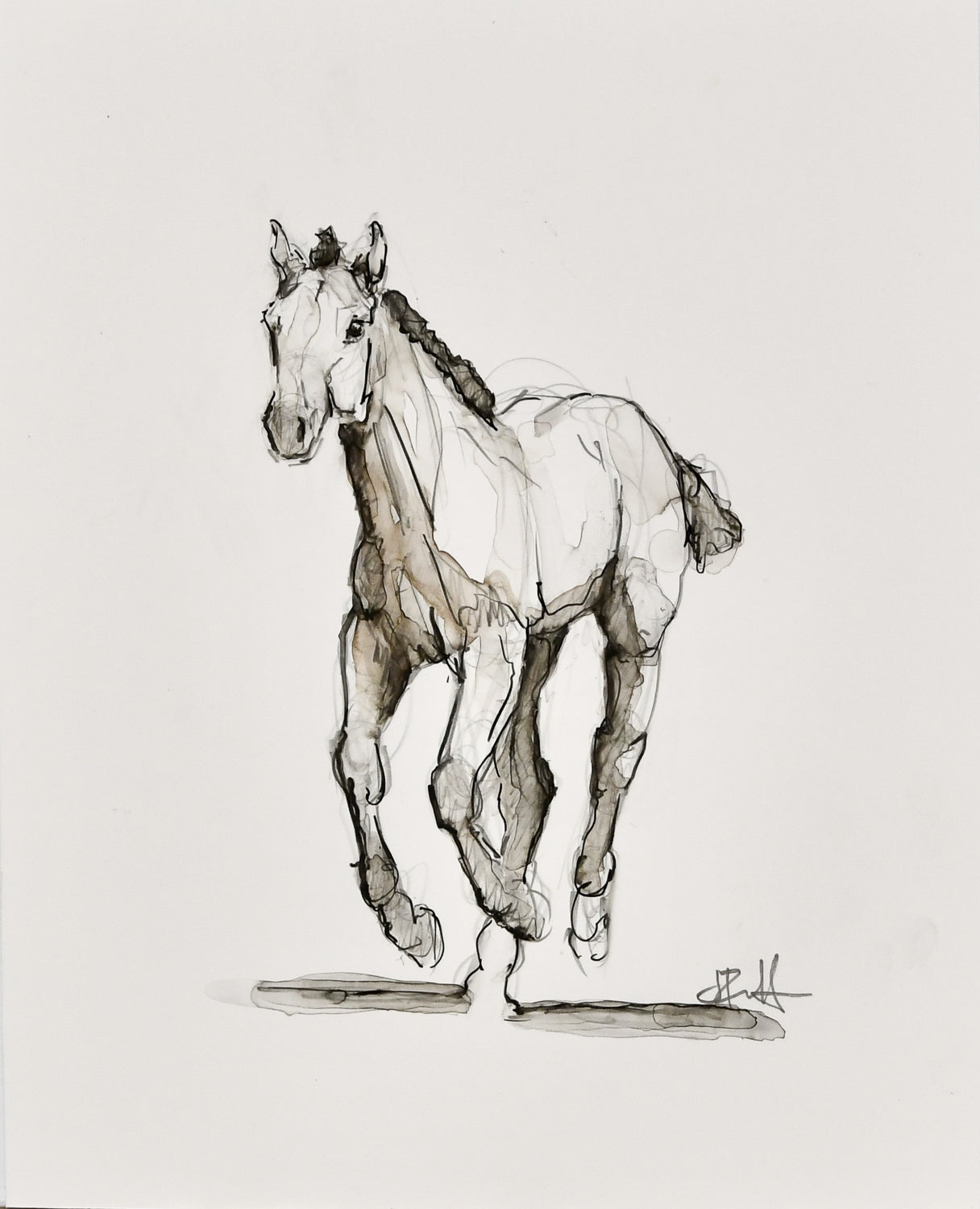 Parker Foal Sketch - Original Art