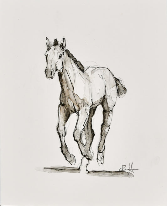 Parker Foal Sketch - Original Art