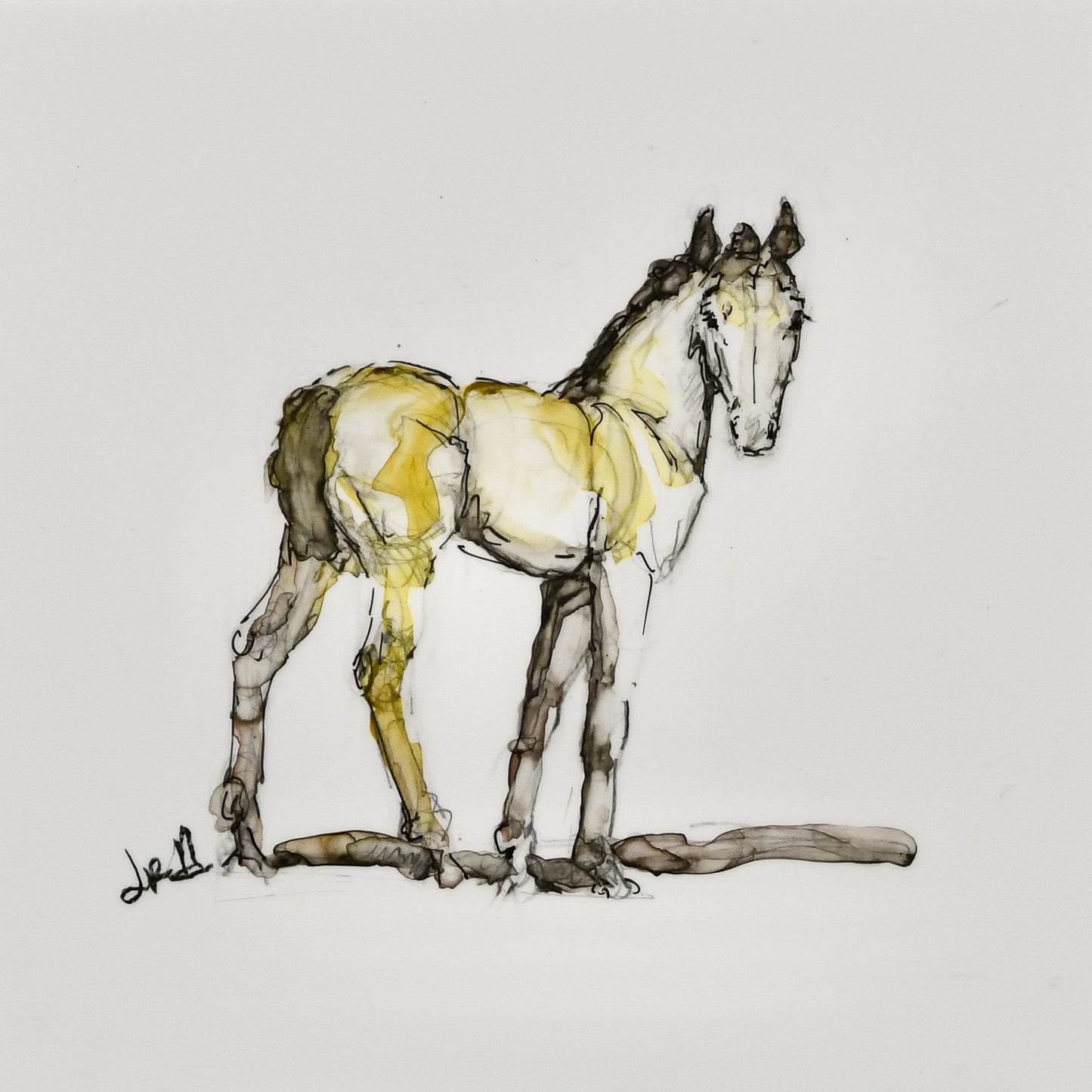 Rory Foal Sketch - Original Art
