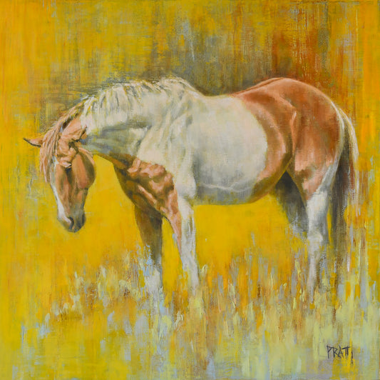 Sagebrush Zain Daydream Original Art - Jennifer Pratt Artist - Shop equestrian art, horse paintings and horse portraits