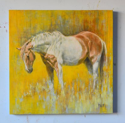 Sagebrush Zain Daydream - Original Art - Jennifer Pratt Artist - Shop equestrian art, horse paintings and horse portraits