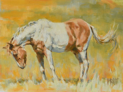 Sagebrush Zain Swish - Original Art - Jennifer Pratt Artist - Shop equestrian art, horse paintings and horse portraits
