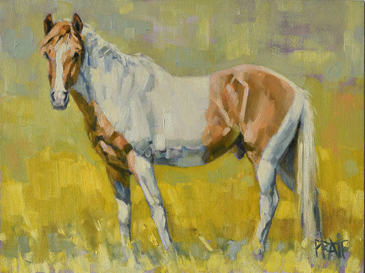 South Steens Zain - Original Art - Jennifer Pratt Artist - Shop equestrian art, horse paintings and horse portraits