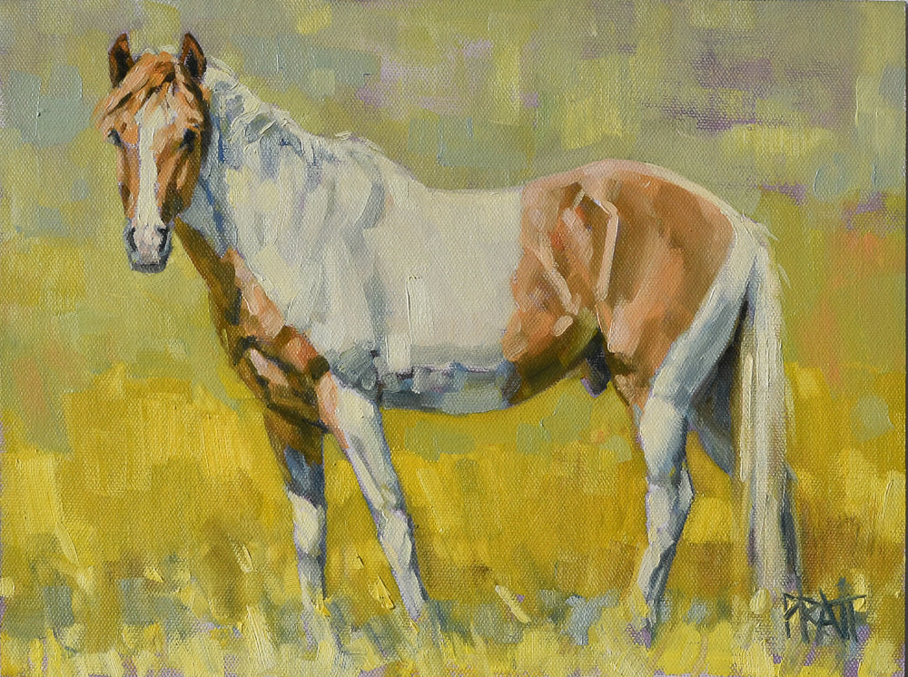 South Steens Zain - Original Art - Jennifer Pratt Artist - Shop equestrian art, horse paintings and horse portraits