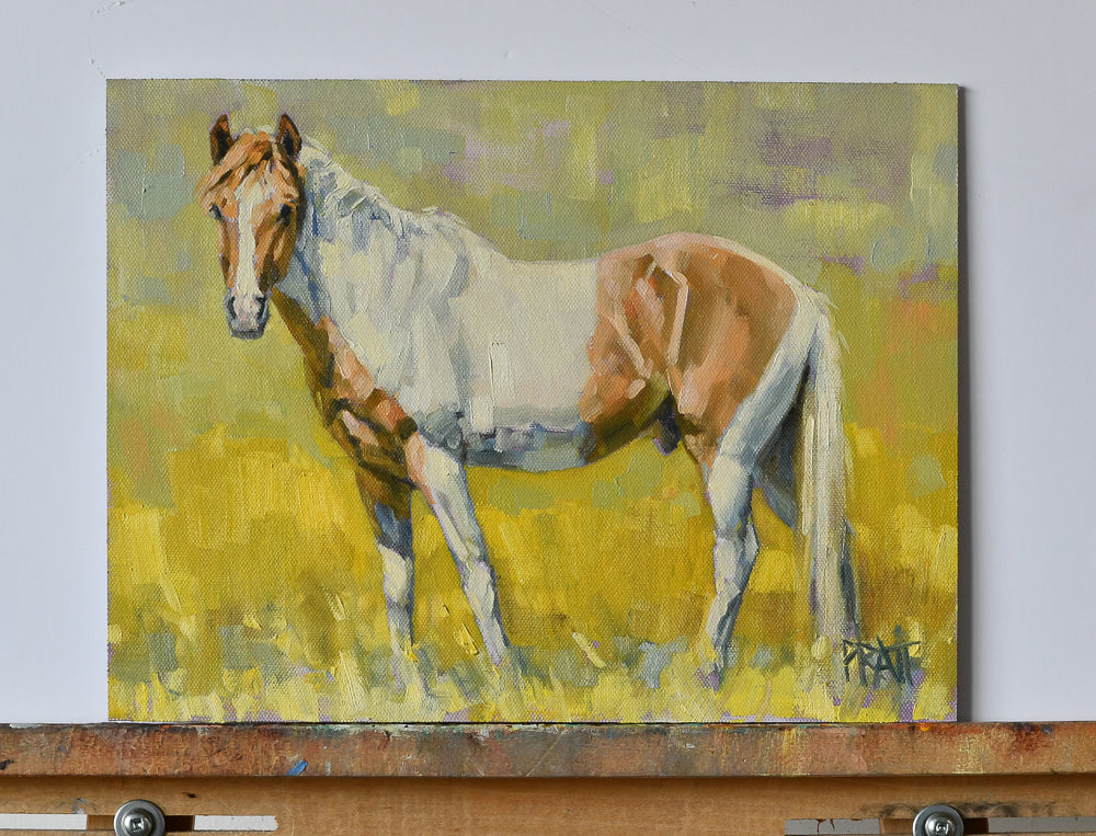 South Steens Zain - Original Art - Jennifer Pratt Artist - Shop equestrian art, horse paintings and horse portraits