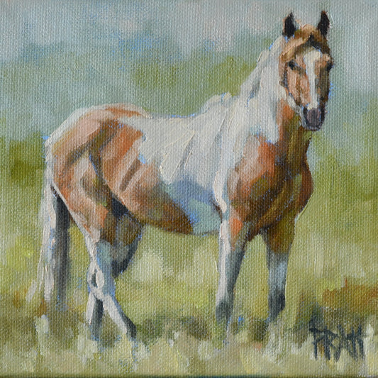 Zain in the Sagebrush - Original Art - Jennifer Pratt Artist - Shop equestrian art, horse paintings and horse portraits