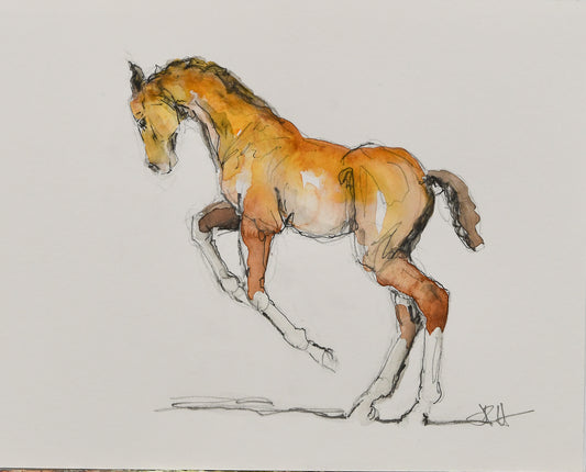 Zoey Foal Sketch - Original Art