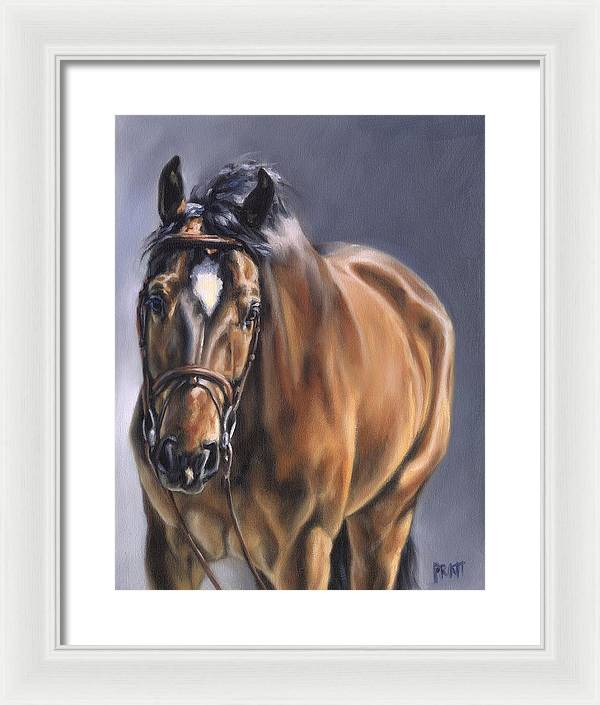 Norton - Print - Jennifer Pratt Artist - Shop equestrian art, horse paintings and horse portraits