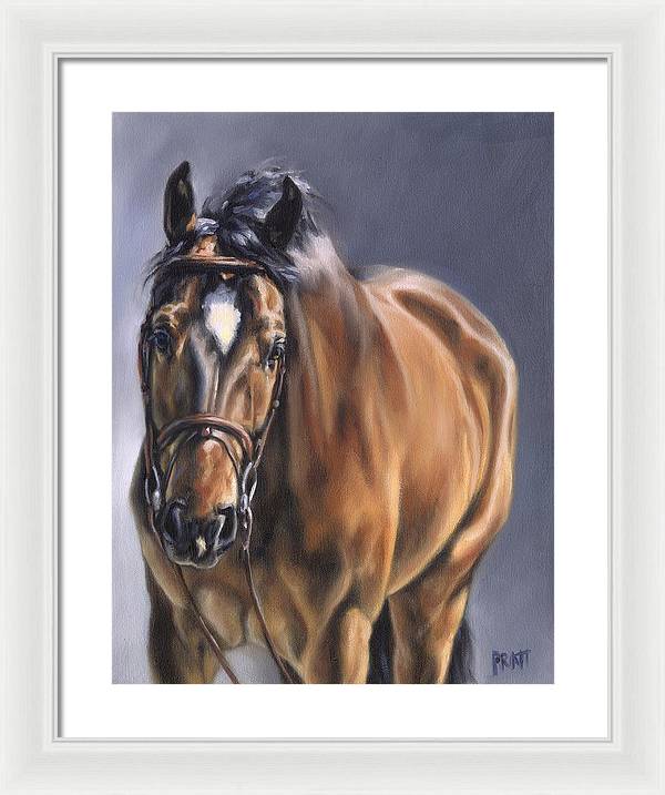 Norton - Print - Jennifer Pratt Artist - Shop equestrian art, horse paintings and horse portraits